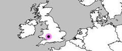 Orchis morio Flower Map